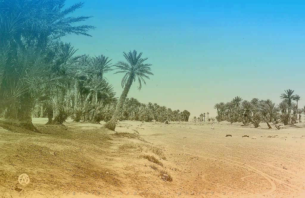 Colomb-bechar 518- oued.jpg